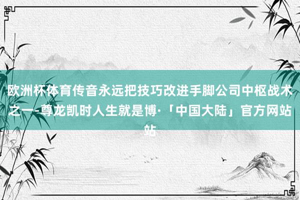 欧洲杯体育传音永远把技巧改进手脚公司中枢战术之一-尊龙凯时人生就是博·「中国大陆」官方网站