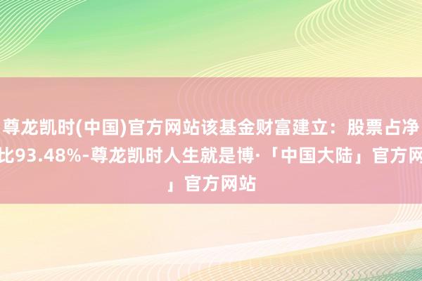 尊龙凯时(中国)官方网站该基金财富建立：股票占净值比93.48%-尊龙凯时人生就是博·「中国大陆」官方网站