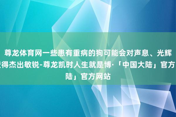 尊龙体育网一些患有重病的狗可能会对声息、光辉等变得杰出敏锐-尊龙凯时人生就是博·「中国大陆」官方网站