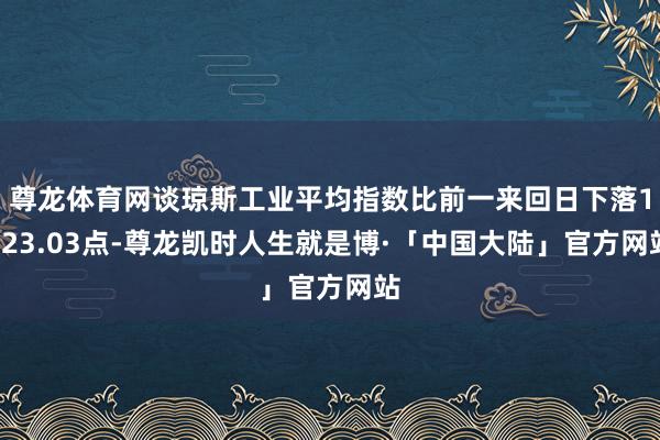 尊龙体育网谈琼斯工业平均指数比前一来回日下落1123.03点-尊龙凯时人生就是博·「中国大陆」官方网站