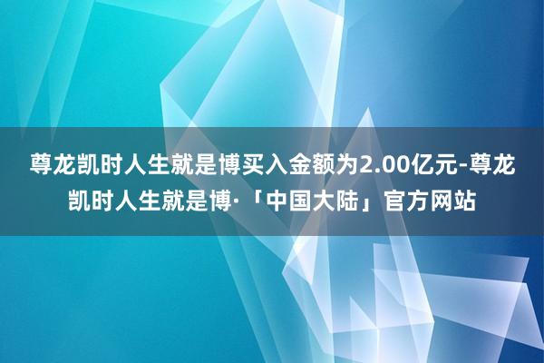 尊龙凯时人生就是博买入金额为2.00亿元-尊龙凯时人生就是博·「中国大陆」官方网站