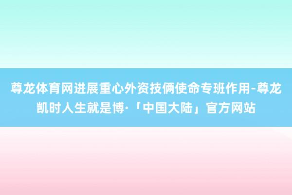 尊龙体育网进展重心外资技俩使命专班作用-尊龙凯时人生就是博·「中国大陆」官方网站