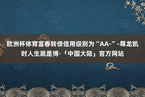 欧洲杯体育富春转债信用级别为“AA-”-尊龙凯时人生就是博·「中国大陆」官方网站