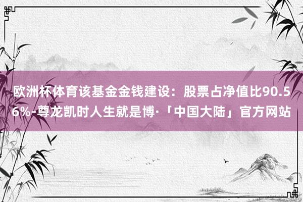 欧洲杯体育该基金金钱建设：股票占净值比90.56%-尊龙凯时人生就是博·「中国大陆」官方网站