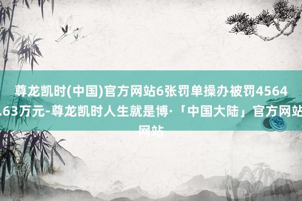 尊龙凯时(中国)官方网站6张罚单操办被罚4564.63万元-尊龙凯时人生就是博·「中国大陆」官方网站