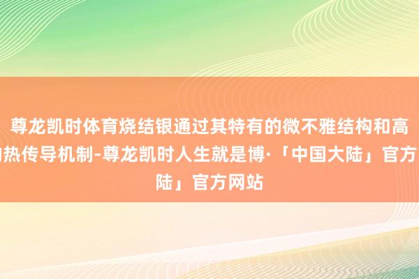 尊龙凯时体育烧结银通过其特有的微不雅结构和高效的热传导机制-尊龙凯时人生就是博·「中国大陆」官方网站