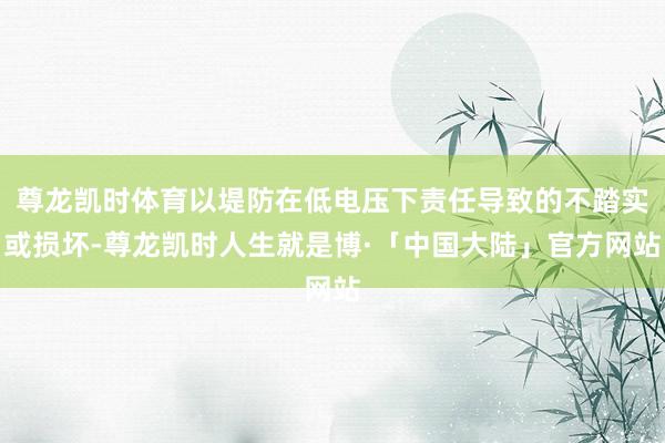 尊龙凯时体育以堤防在低电压下责任导致的不踏实或损坏-尊龙凯时人生就是博·「中国大陆」官方网站