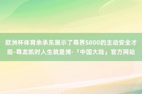 欧洲杯体育余承东展示了尊界S800的主动安全才能-尊龙凯时人生就是博·「中国大陆」官方网站