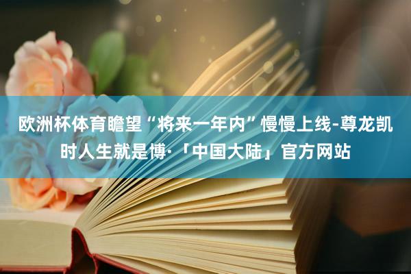 欧洲杯体育瞻望“将来一年内”慢慢上线-尊龙凯时人生就是博·「中国大陆」官方网站