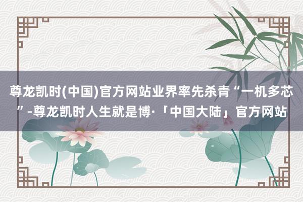 尊龙凯时(中国)官方网站业界率先杀青“一机多芯”-尊龙凯时人生就是博·「中国大陆」官方网站